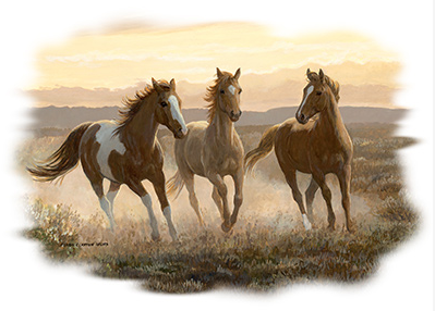 Wild Colts Horse Tshirt - TshirtNow.net - 2