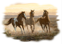 Thumbnail for Wild Colts Horse Tshirt - TshirtNow.net - 2