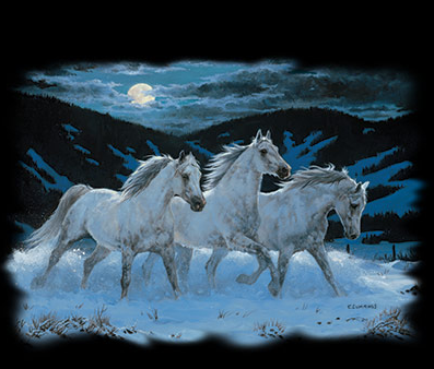 Night Mares Horse Tshirt - TshirtNow.net - 2