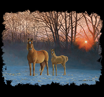 Winter Dawn Horse Tshirt - TshirtNow.net - 2