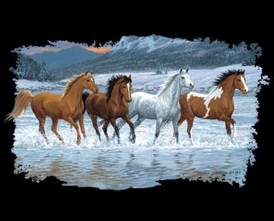 Starlight Run Horse Tshirt - TshirtNow.net - 2