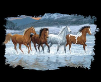 Thumbnail for Starlight Run Horse Tshirt - TshirtNow.net - 2