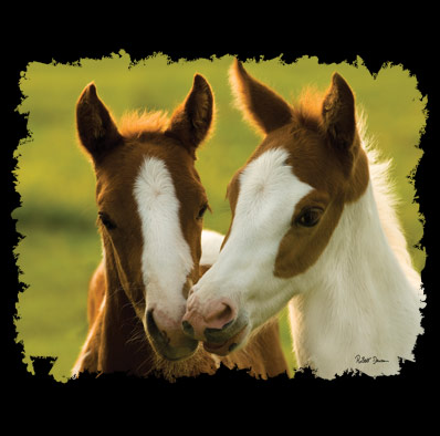 Playful Friends Horse Tshirt - TshirtNow.net - 2