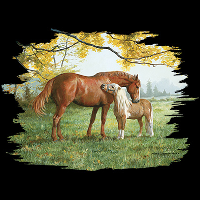 Little Higher Please Horse Tshirt - TshirtNow.net - 2