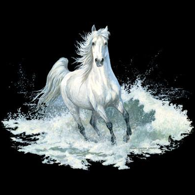 Surf Run Horse Tshirt - TshirtNow.net - 2
