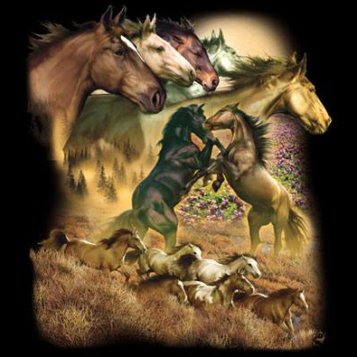 Wild Horses Tshirt - TshirtNow.net - 2