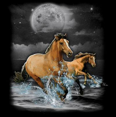 Horse Wilderness Tshirt - TshirtNow.net - 2