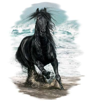 On the Beach Horse Tshirt - TshirtNow.net - 2