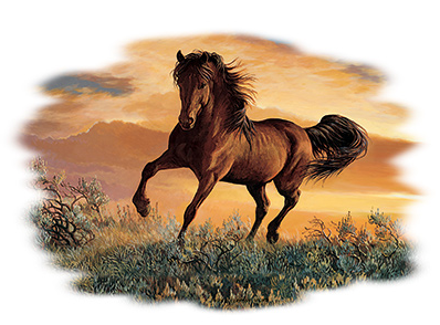 Chasing A Dream Horse Tshirt - TshirtNow.net - 2