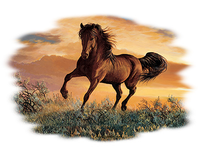 Thumbnail for Chasing A Dream Horse Tshirt - TshirtNow.net - 2