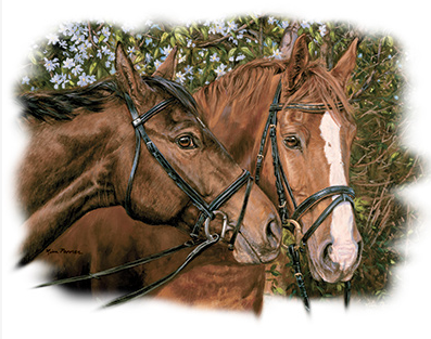 Friends Forever Horse Tshirt - TshirtNow.net - 2