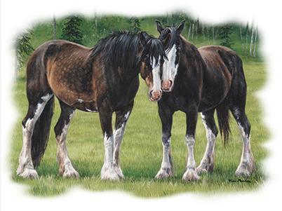 A Special Bond Horse Tshirt - TshirtNow.net - 2