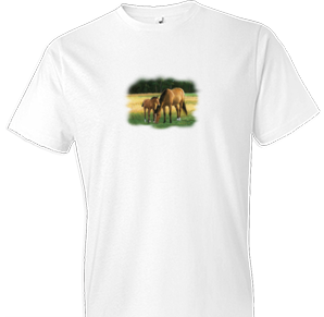 Summer Evening Horse Tshirt - TshirtNow.net - 1