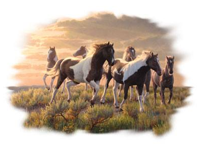 Paints Horse Tshirt - TshirtNow.net - 2