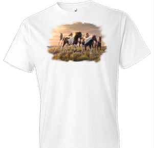 Paints Horse Tshirt - TshirtNow.net - 1