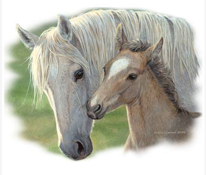 Bond of Love Horse Tshirt - TshirtNow.net - 2