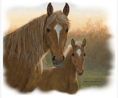 Dusk Horse Tshirt with Oversized Print - TshirtNow.net - 2