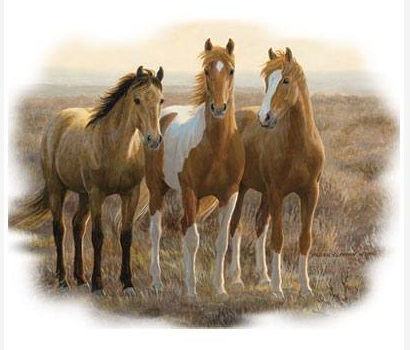Curious Colts Horse Tshirt - TshirtNow.net - 2