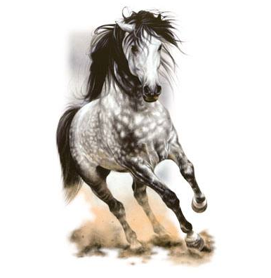 Glorious Gray Horse Tshirt - TshirtNow.net - 2
