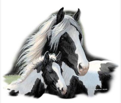 Gypsies Horse Tshirt - TshirtNow.net - 2
