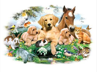 Thumbnail for Summer Pals 2 Horse Tshirt - TshirtNow.net - 2