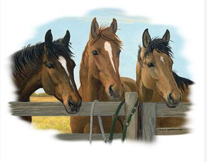 Carrots Please Horse Tshirt - TshirtNow.net - 2