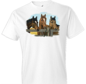 Carrots Please Horse Tshirt - TshirtNow.net - 1