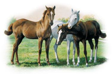 The Weanlings Horse Tshirt - TshirtNow.net - 1