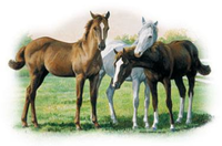 Thumbnail for The Weanlings Horse Tshirt - TshirtNow.net - 1