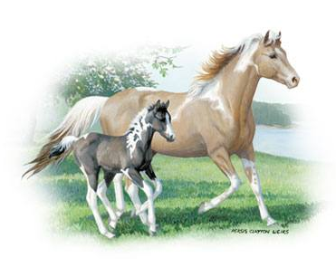 Glory and Noah Horse Tshirt with Oversized Print - TshirtNow.net - 2