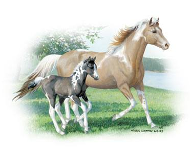 Glory and Noah Horse Tshirt - TshirtNow.net - 2