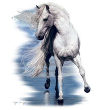 Thumbnail for Beauty and The Sea Horse Tshirt - TshirtNow.net - 2