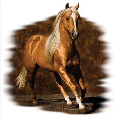 Golden Boy Horse Tshirt - TshirtNow.net - 2