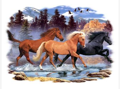 Running Free 2 Horse Tshirt - TshirtNow.net - 2