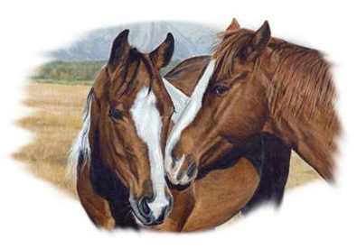 Making Friends Horse Tshirt - TshirtNow.net - 2