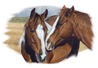 Thumbnail for Making Friends Horse Tshirt - TshirtNow.net - 2