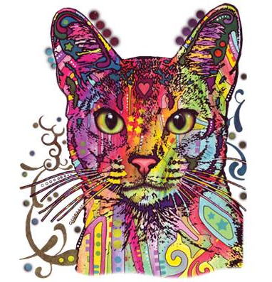 Abyssinian Cat Tshirt - TshirtNow.net - 2