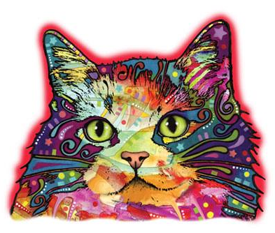 Ragamuffin Cat Tshirt - TshirtNow.net - 2