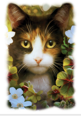 Lucky Cat Tshirt - TshirtNow.net - 2