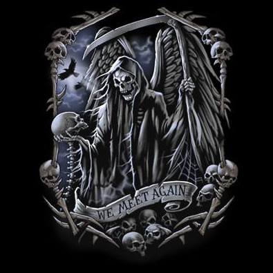 We Meet Again Fantasy Tshirt - TshirtNow.net - 2