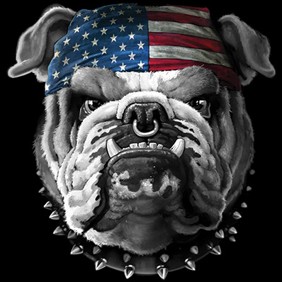 American Bison Flag Tshirt - TshirtNow.net - 2