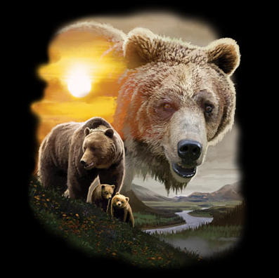 American Grizzly Tshirt - TshirtNow.net - 2