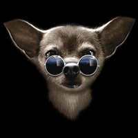 Thumbnail for Cool Chihuahua Tshirt - TshirtNow.net - 2