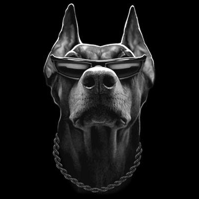 Doberman Sunglasses Tshirt - TshirtNow.net - 2