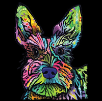 Thumbnail for Neon Stella Tshirt - TshirtNow.net - 2