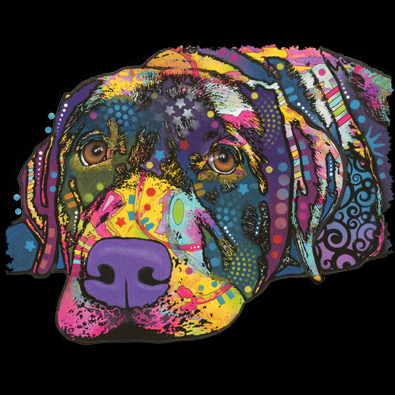 Neon Savvy Labrador Tshirt - TshirtNow.net - 2