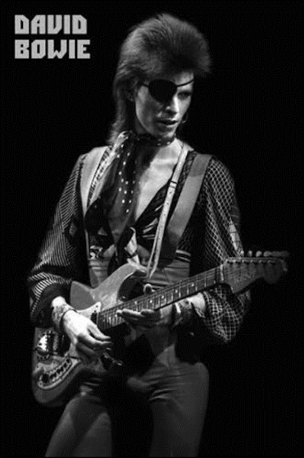 David Bowie Guitar Poster - TshirtNow.net