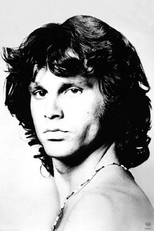 Doors Jim Morrison Side Pose Poster - TshirtNow.net