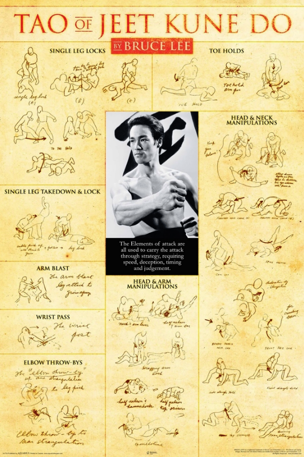 Bruce Lee Tao of Jeet Poster - TshirtNow.net