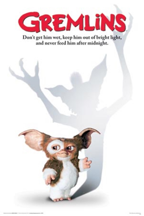Gremlins Don't Get Him Wet Poster - TshirtNow.net